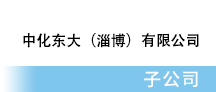 子公司