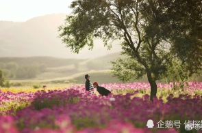 李强缔结邦务院令 布告《邦务院闭于实行〈中华国民共和邦公公法〉注册资本挂号打点轨制的规矩》